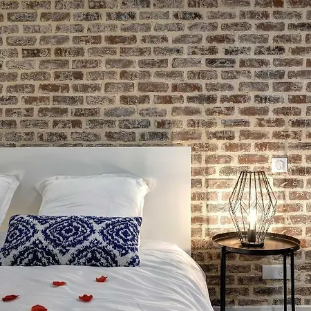 My Toul'house Apartment Toulouse